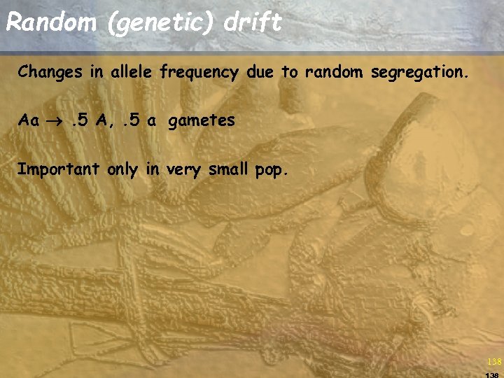 Random (genetic) drift Changes in allele frequency due to random segregation. Aa . 5