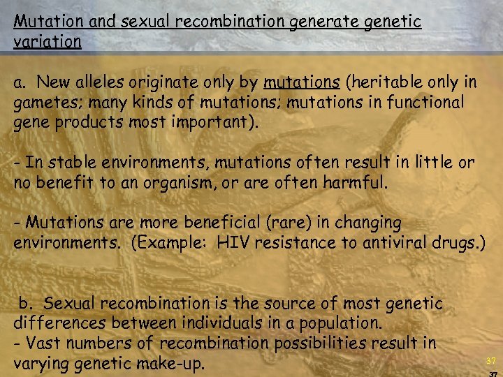 Mutation and sexual recombination generate genetic variation a. New alleles originate only by mutations