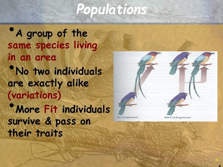 Populations • A group of the same species living in an area No two