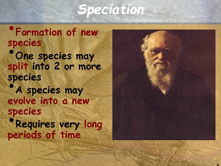 Speciation • Formation of new species • One species may split into 2 or