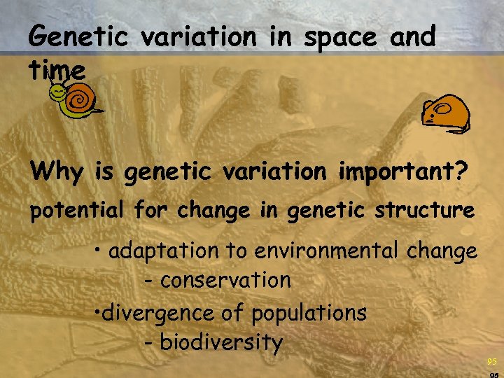 Genetic variation in space and time Why is genetic variation important? potential for change