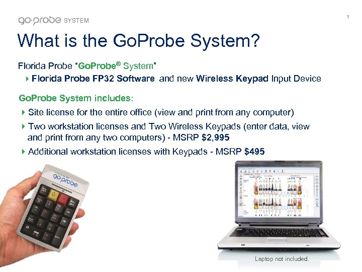 1 SYSTEM What is the Go. Probe System? Florida Probe “Go. Probe® System” Florida