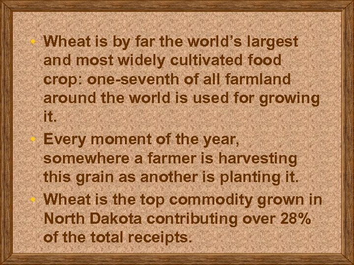  • Wheat is by far the world’s largest and most widely cultivated food