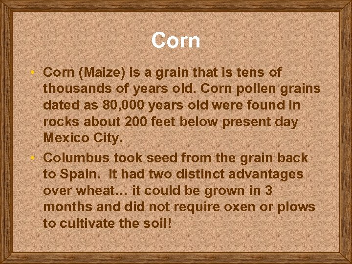 Corn • Corn (Maize) is a grain that is tens of thousands of years