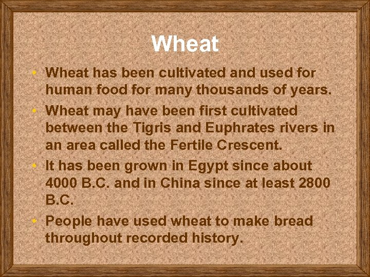 Wheat • Wheat has been cultivated and used for human food for many thousands