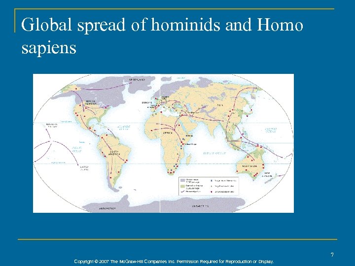 Global spread of hominids and Homo sapiens 7 Copyright © 2007 The Mc. Graw-Hill