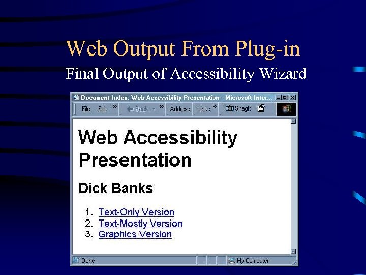 Web Output From Plug-in Final Output of Accessibility Wizard 