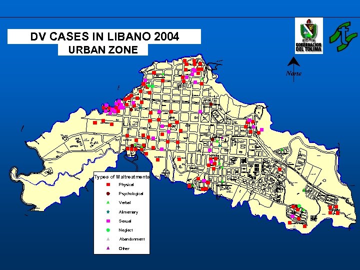 s. N ara njo s DV CASES IN LIBANO 2004 a. A lto Lo
