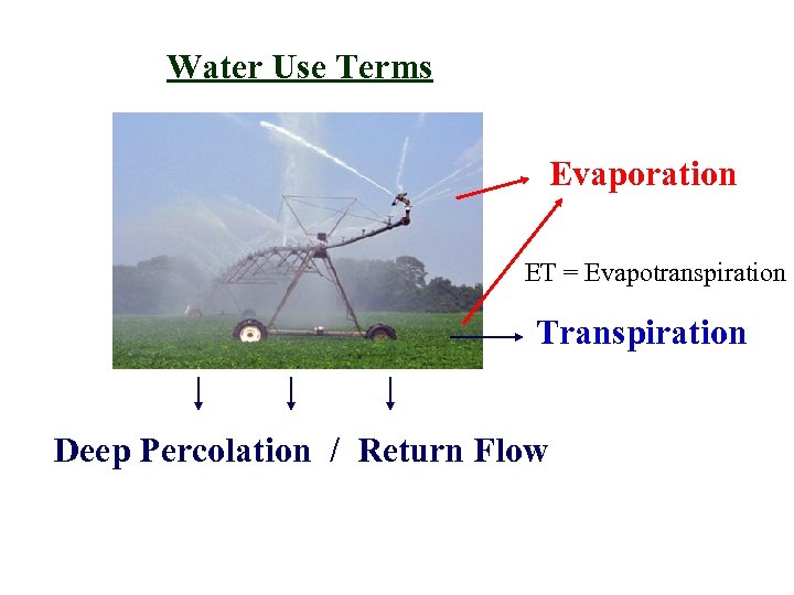 Water Use Terms Evaporation ET = Evapotranspiration Transpiration Deep Percolation / Return Flow 