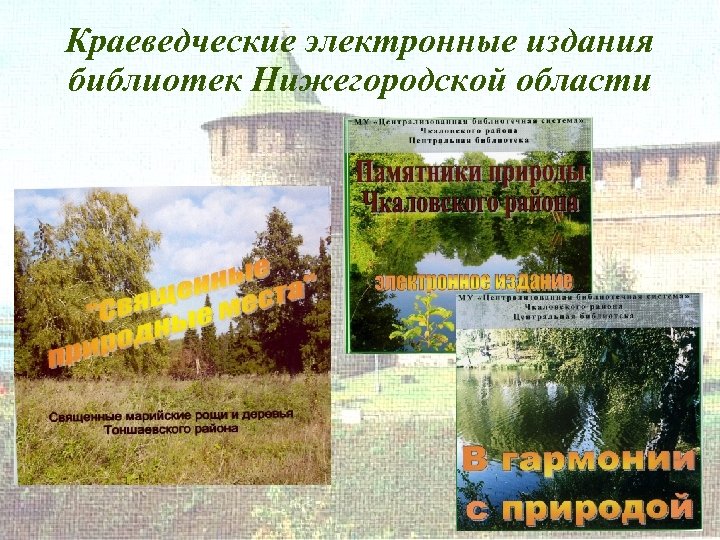 Краеведческие электронные издания библиотек Нижегородской области 