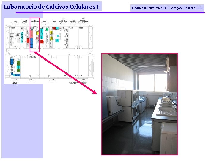 Laboratorio de Cultivos Celulares I V National Conference BIFI, Zaragoza, Febrero 2011 