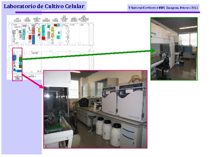 Laboratorio de Cultivo Celular V National Conference BIFI, Zaragoza, Febrero 2011 