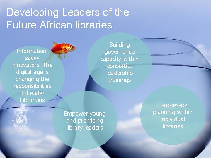Developing Leaders of the Future African libraries Informationsavvy innovators. The digital age is changing