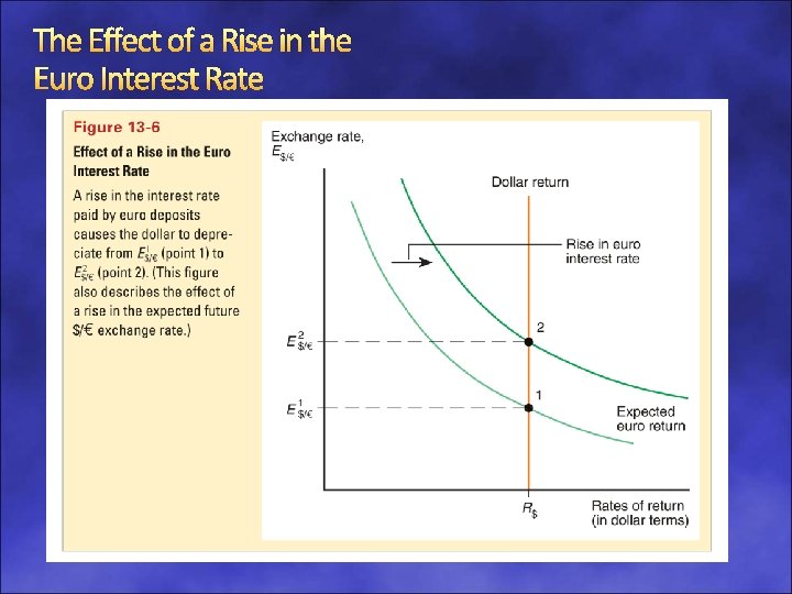 The Effect of a Rise in the Euro Interest Rate 