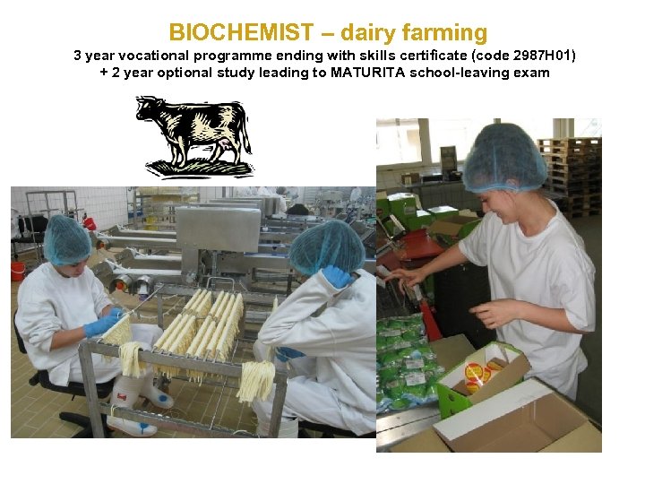BIOCHEMIST – dairy farming 3 year vocational programme ending with skills certificate (code 2987