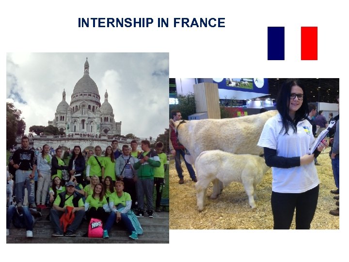 INTERNSHIP IN FRANCE 