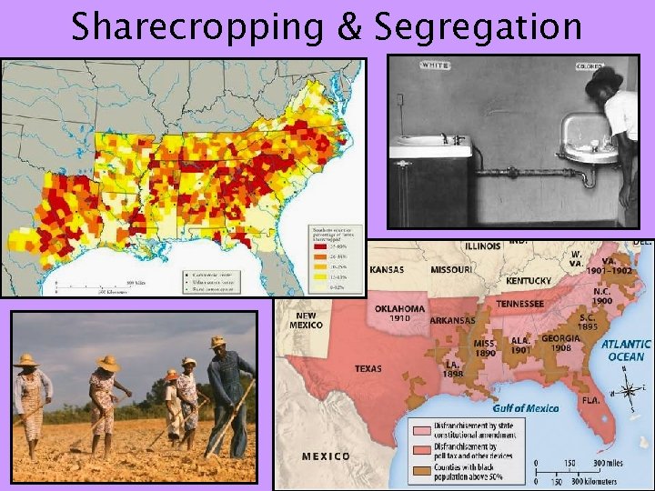 Sharecropping & Segregation 