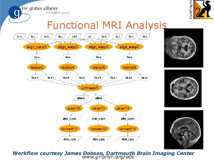 Functional MRI Analysis Workflow courtesy James Dobson, Dartmouth Brain Imaging Center www. griphyn. org/vds