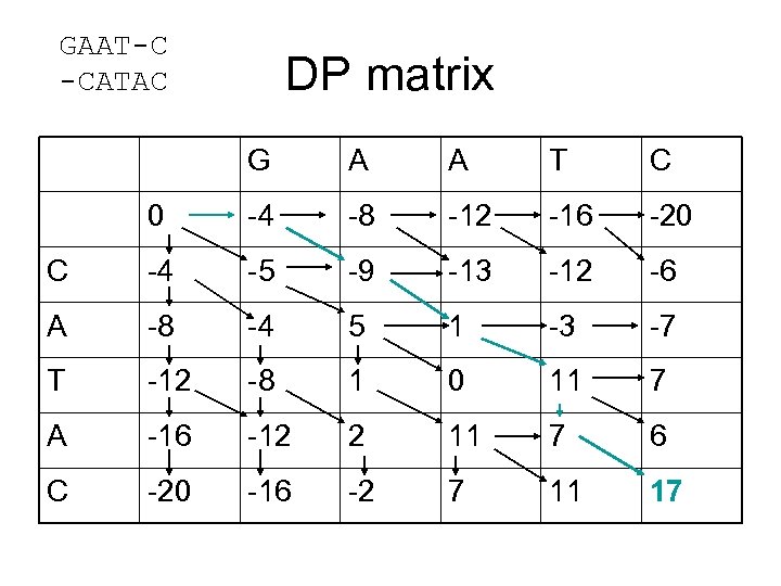 GAAT-C -CATAC DP matrix G A A T C 0 -4 -8 -12 -16