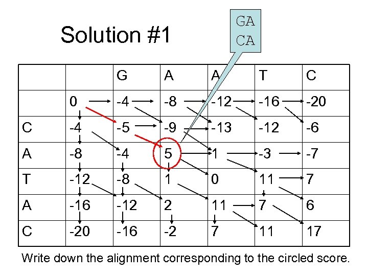 GA CA Solution #1 G A A T C 0 -4 -8 -12 -16