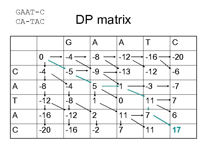 GAAT-C CA-TAC DP matrix G A A T C 0 -4 -8 -12 -16