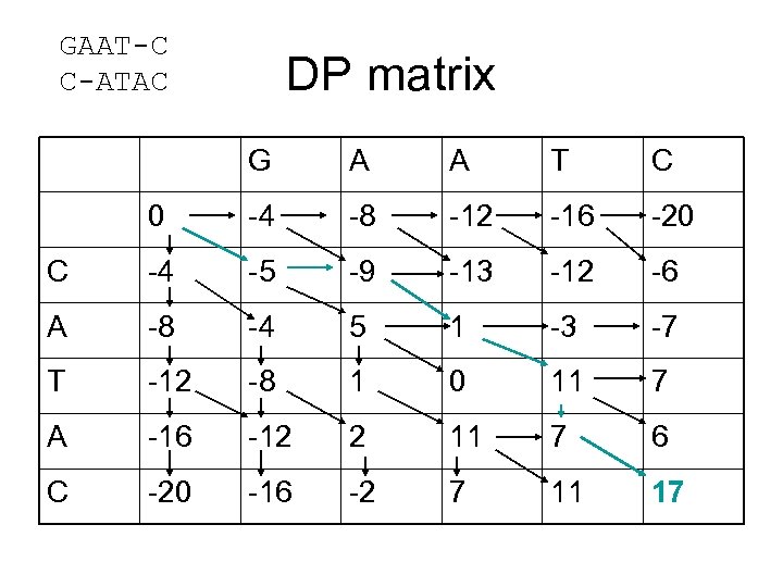 GAAT-C C-ATAC DP matrix G A A T C 0 -4 -8 -12 -16