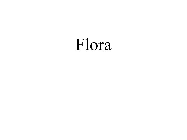 Flora 