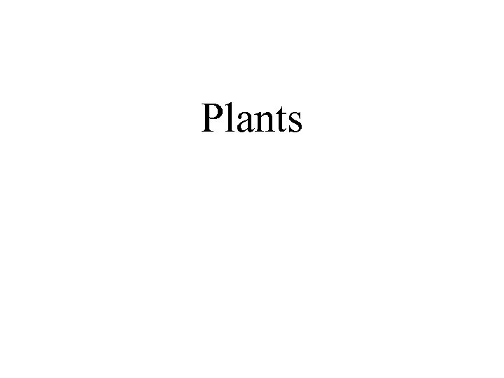 Plants 