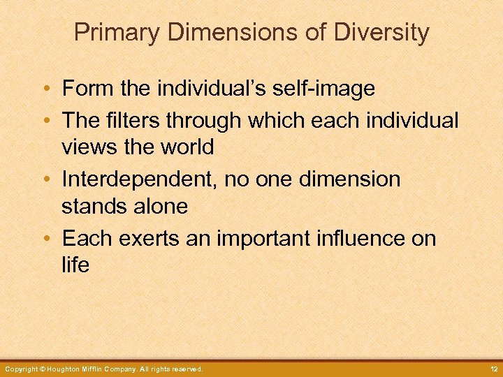 Primary Dimensions of Diversity • Form the individual’s self-image • The filters through which