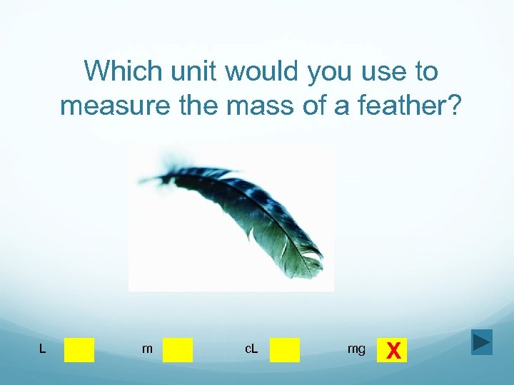 Which unit would you use to measure the mass of a feather? L m