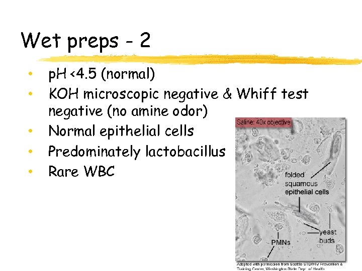 Wet preps - 2 • • • p. H <4. 5 (normal) KOH microscopic