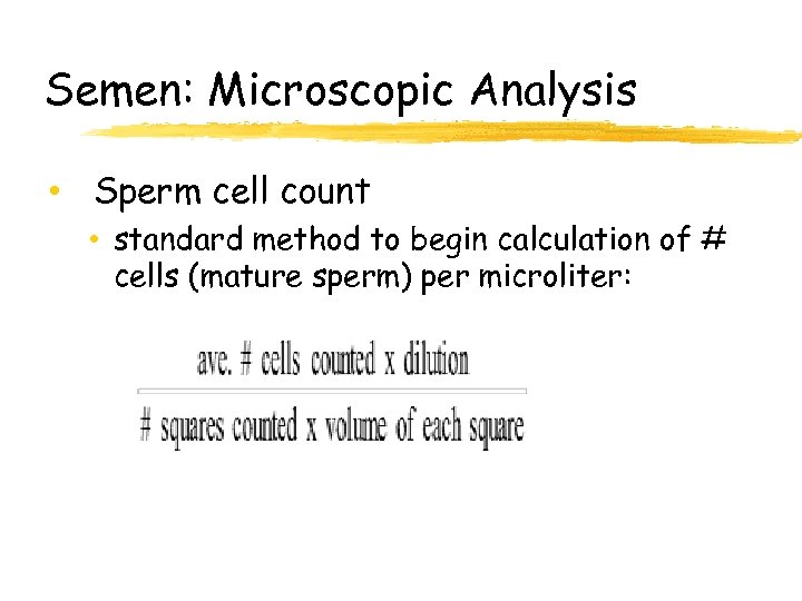 Semen: Microscopic Analysis • Sperm cell count • standard method to begin calculation of