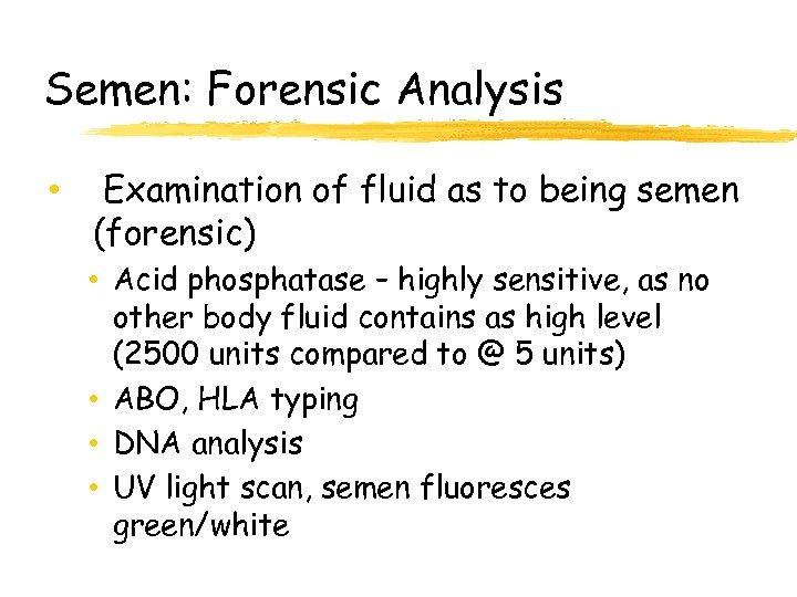 Semen: Forensic Analysis • Examination of fluid as to being semen (forensic) • Acid