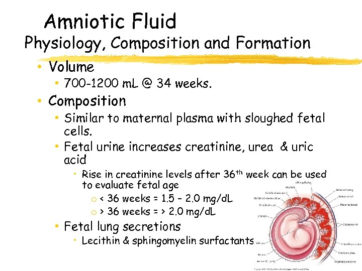 Amniotic Fluid Physiology, Composition and Formation • Volume • 700 -1200 m. L @