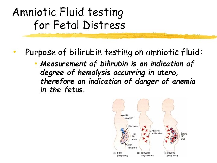 Amniotic Fluid testing for Fetal Distress • Purpose of bilirubin testing on amniotic fluid: