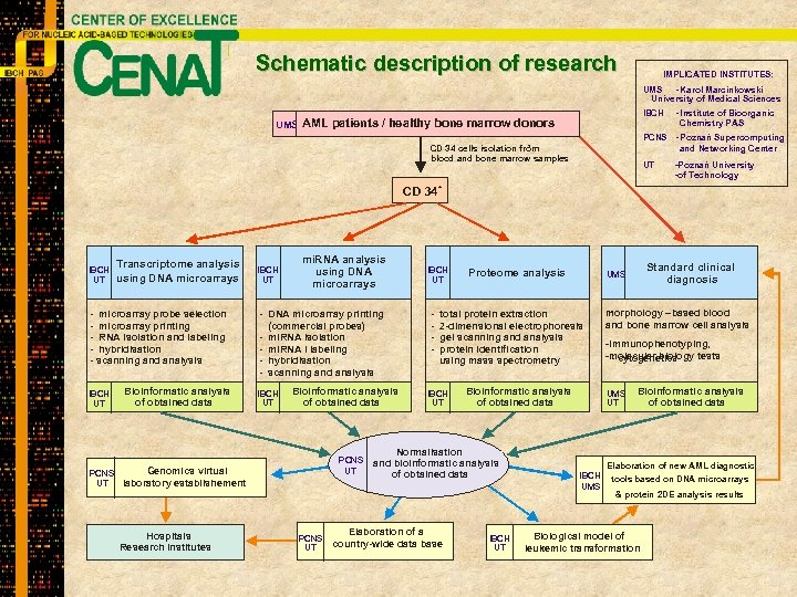 Schematic description of research IMPLICATED INSTITUTES: UMS - Karol Marcinkowski University of Medical Sciences