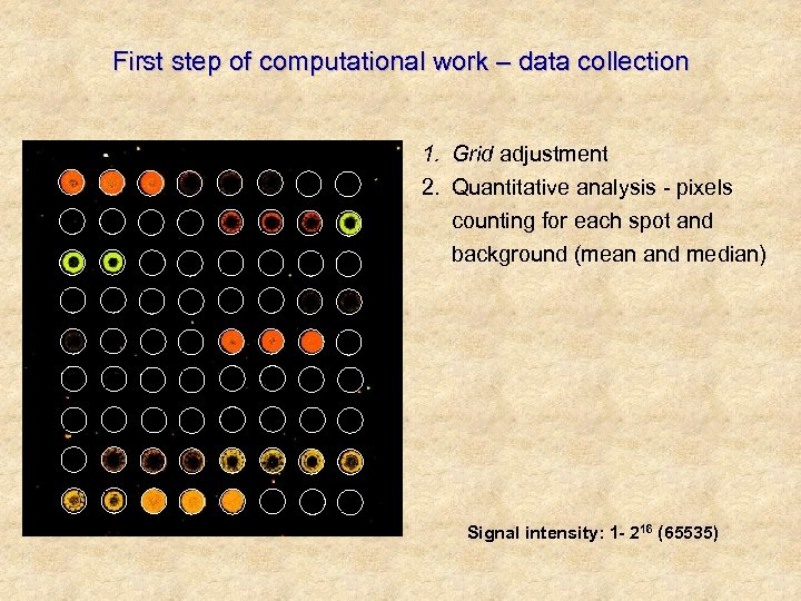 First step of computational work – data collection 1. Grid adjustment 2. Quantitative analysis