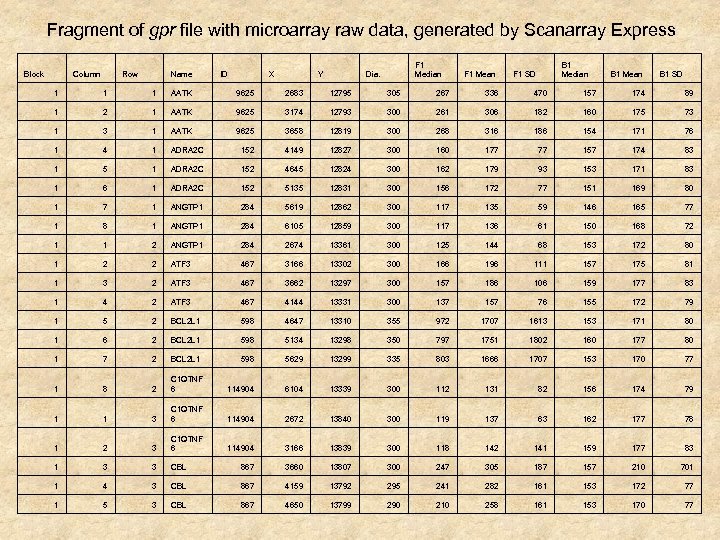 Fragment of gpr file with microarray raw data, generated by Scanarray Express Block Column