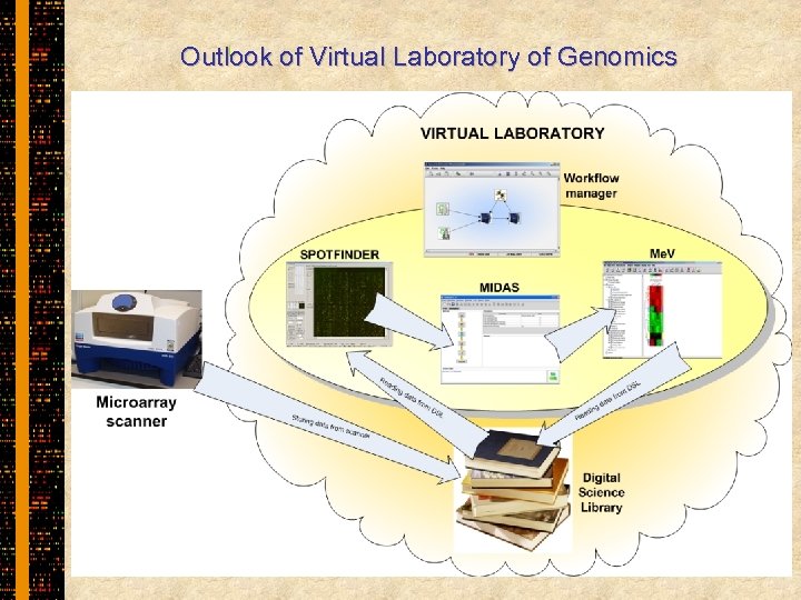 Outlook of Virtual Laboratory of Genomics 