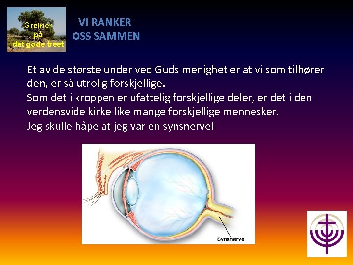 Greiner på det gode treet VI RANKER OSS SAMMEN Et av de største under