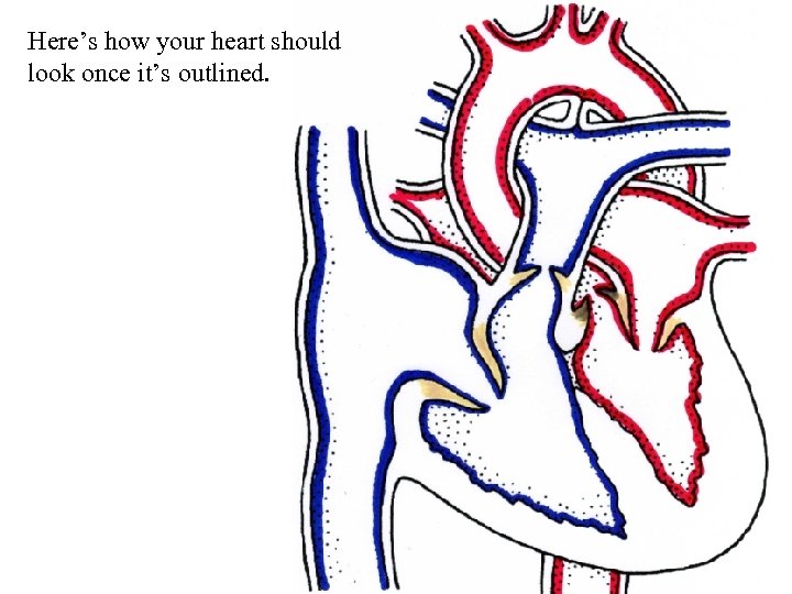 Here’s how your heart should look once it’s outlined. 