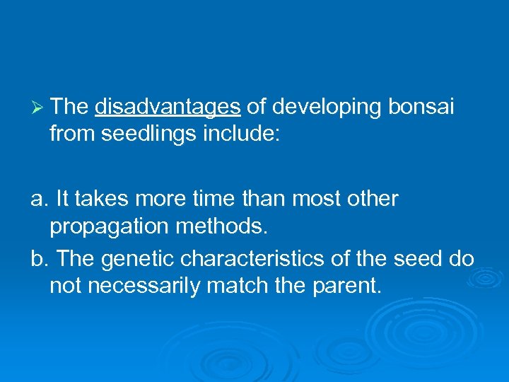 Ø The disadvantages of developing bonsai from seedlings include: a. It takes more time
