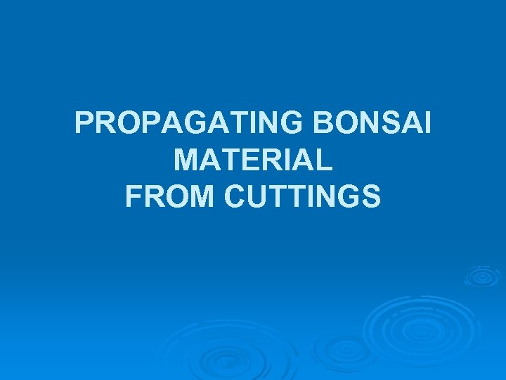 PROPAGATING BONSAI MATERIAL FROM CUTTINGS 