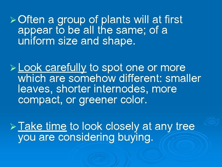 Ø Often a group of plants will at first appear to be all the