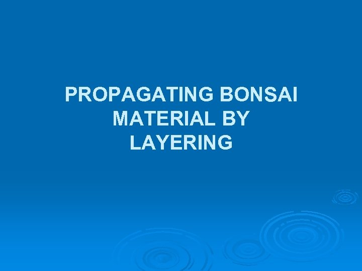 PROPAGATING BONSAI MATERIAL BY LAYERING 