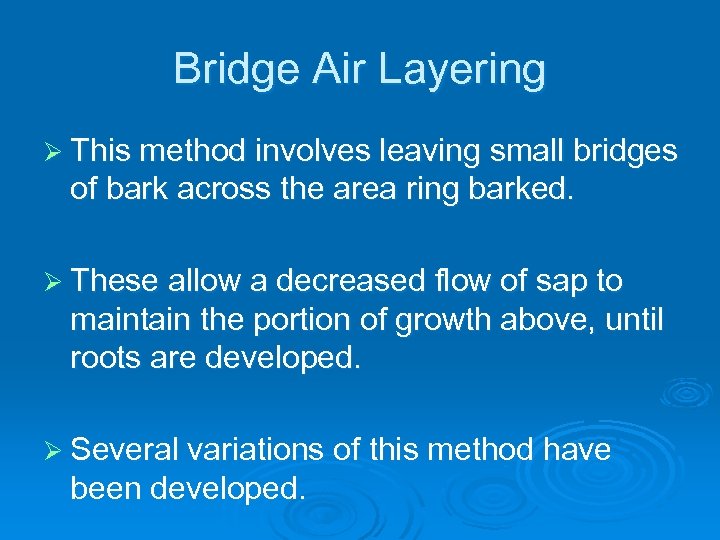 Bridge Air Layering Ø This method involves leaving small bridges of bark across the