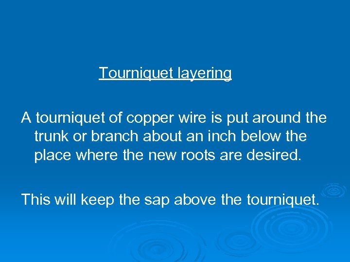 Tourniquet layering A tourniquet of copper wire is put around the trunk or branch