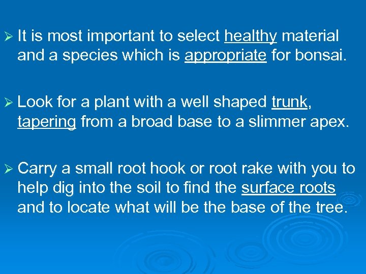 Ø It is most important to select healthy material and a species which is