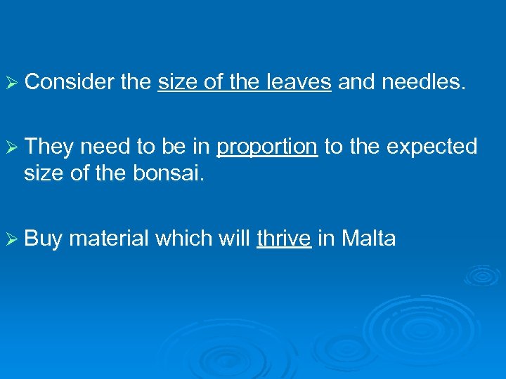 Ø Consider the size of the leaves and needles. Ø They need to be