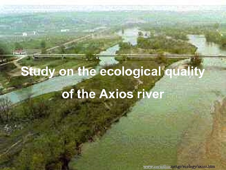 Study on the ecological quality of the Axios river www. corinthia-net. gr/ecology/axios. htm 